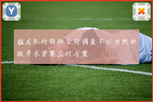 猛龙队对阴阳合同调查不以为然积极寻求禁赛应对方案