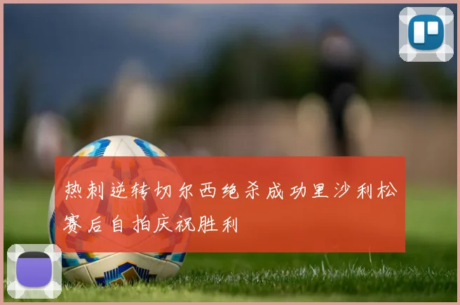 热刺逆转切尔西绝杀成功里沙利松赛后自拍庆祝胜利