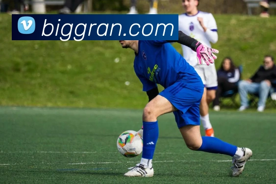 奖项证书